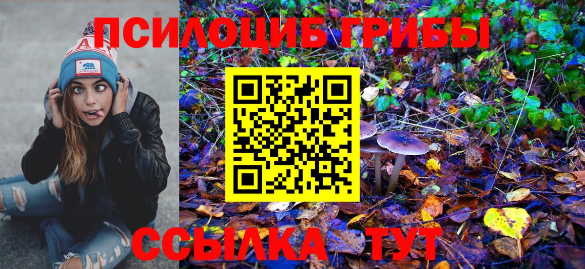 Кыштым  Псилоцибиновые грибы мицелий  Вход с VPN 