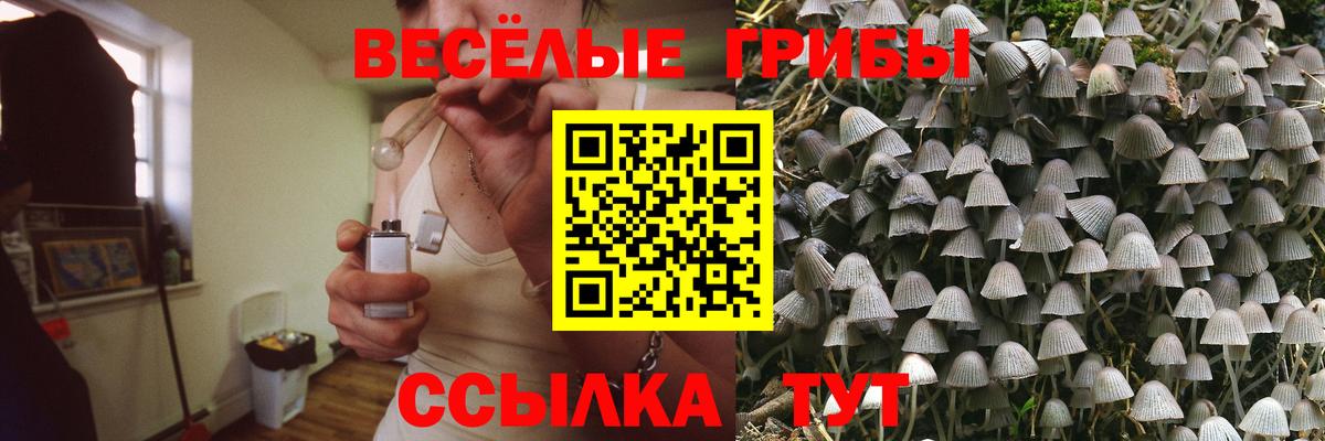 Псилоцибиновые грибы Psilocybe Кыштым